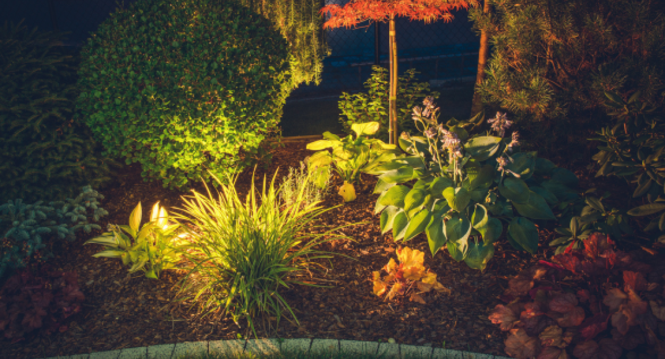 Fairway Electrical Bristol - Benefits of 12v garden lighting